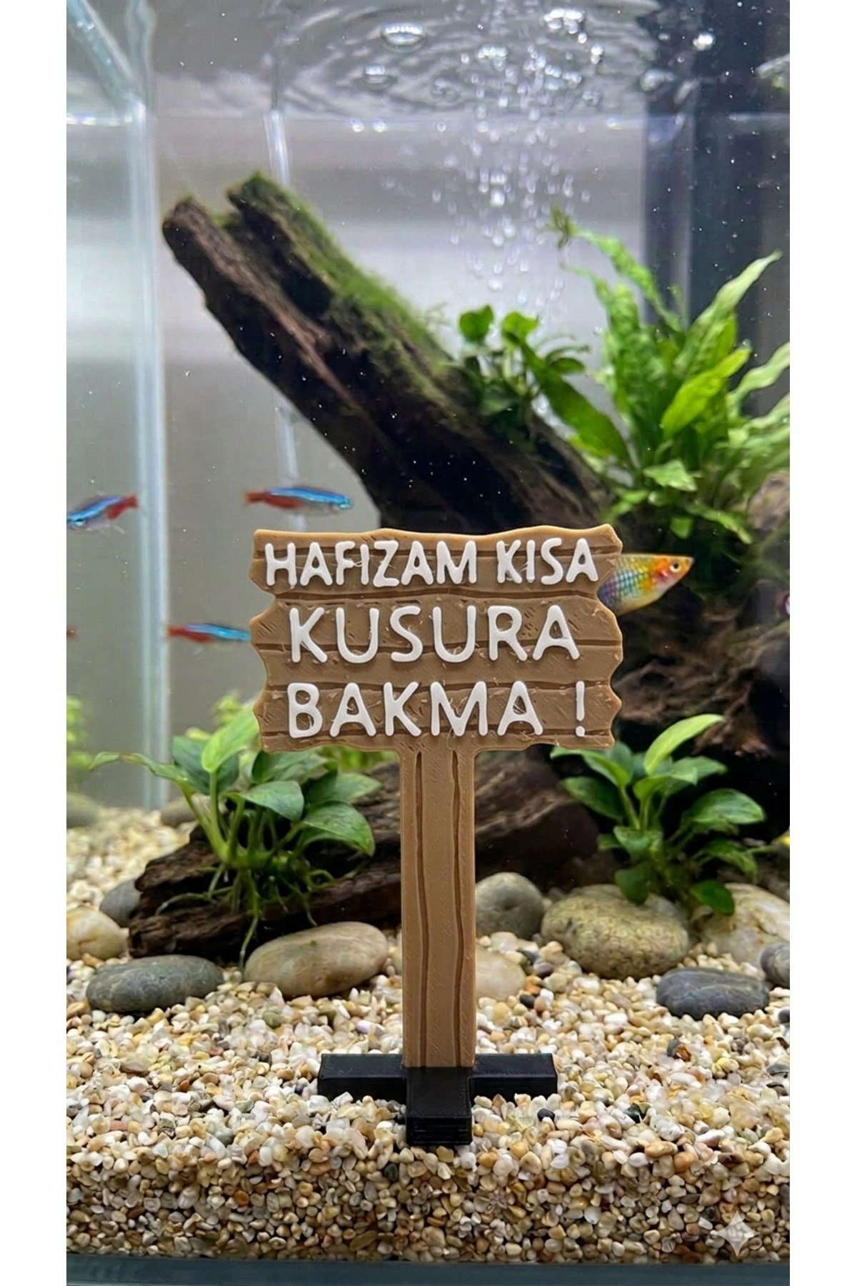 AKVARYUM DEKORU BALIK TABELASI "HAFIZAM KISA KUSURA BAKMA!"