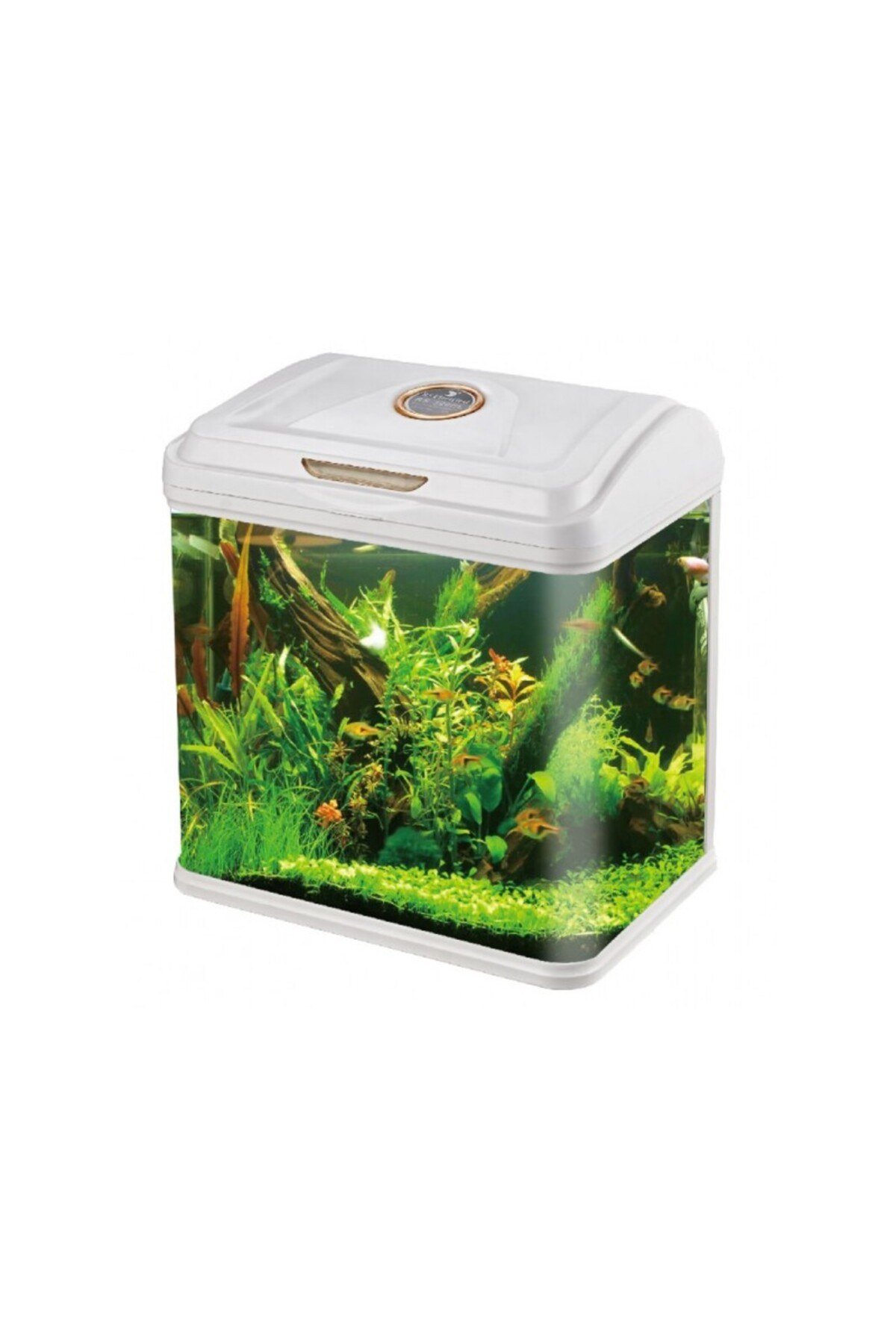 RS Electrical RS-320EL ithal Akvaryum Led ve Filtreli 32x23x38 Cm 20 Litre MONLİNE MAĞZA FARKI